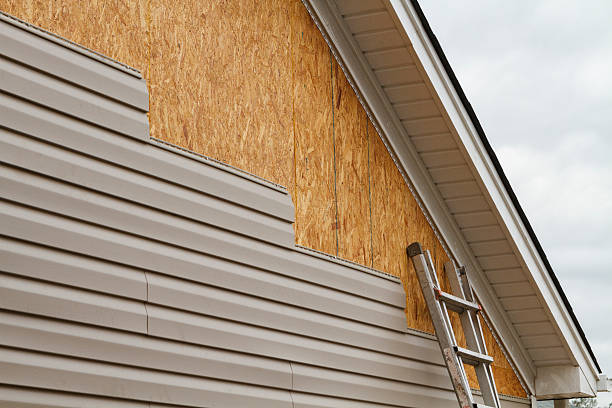 Professional Siding Repair technician working in Chillicothe, IL